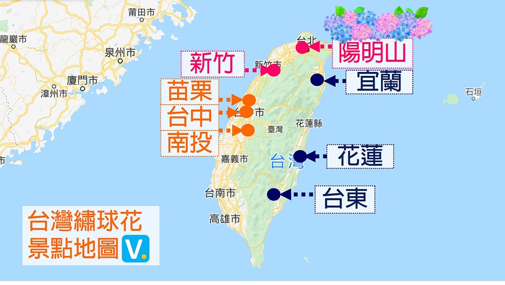 taiwan-hydrangeas-map