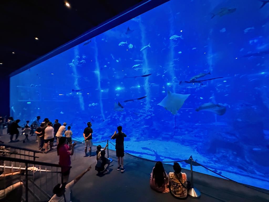新加坡水族館
