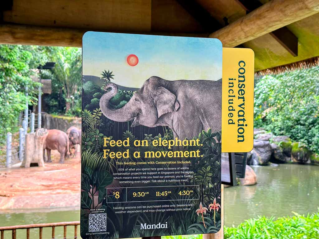 新加坡動物園 餵食