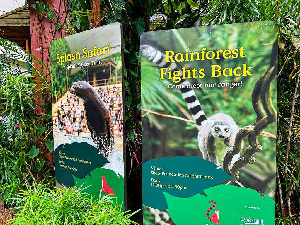 新加坡動物園 表演