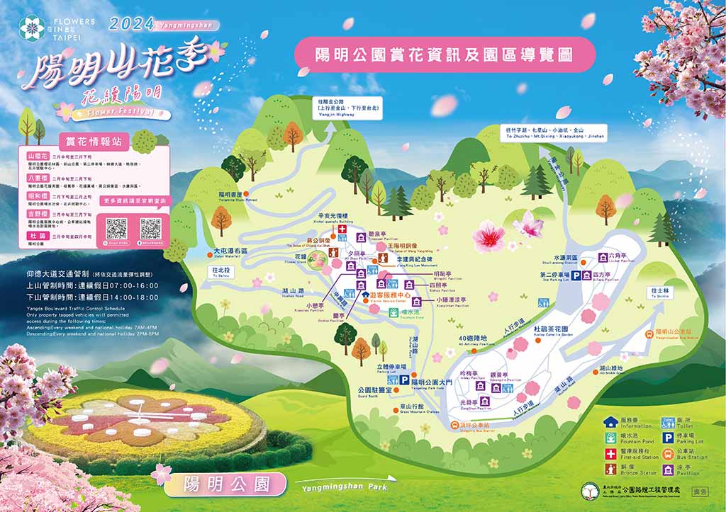 陽明山櫻花季 地圖